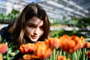 Тюльпаны «Аптекарского огорода» расцвели в Теневом саду