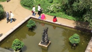 Плавучими фикусами украсили бассейн «Аптекарского огорода»