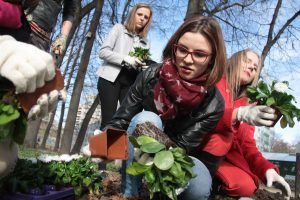 Коллекция «Аптекарского огорода» пополнилась новыми растениями. Фото: «Вечерняя Москва»