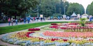 Примерно 70 новых парковых зон появятся на участках бывших пустырей и промышленных зон. Фото: mos.ru