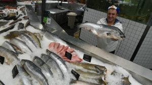 Около 40 тысяч килограмм рыбной продукции приобрели горожане на Кузнецком мосту. Фото: газета "Вечерняя Москва"