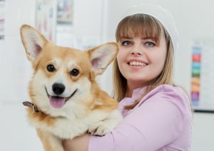 Вакцинация домашних животных: Выбери удобный формат! Фото: пресс-служба Госветслужбы ЦАО