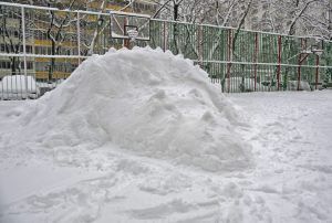 Посмотреть своими глазами на снежного динозавра может любой желающий. Фото: личная страница главы управы Мещанского района Дмитрия Башарова в социальной сети «ВКонтакте»