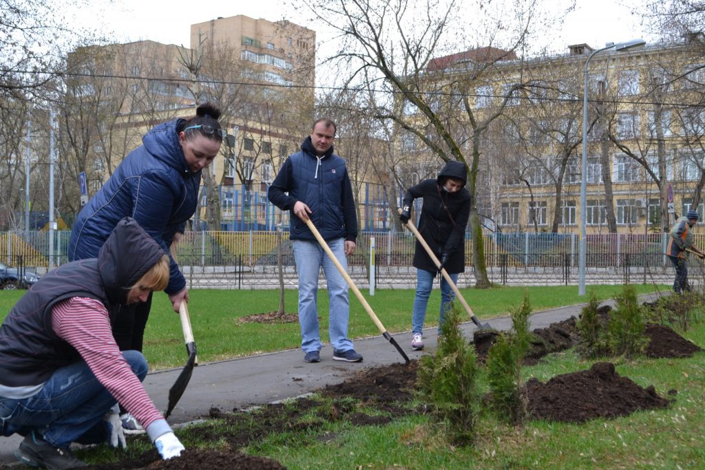 Миллион деревьев. Высадка деревьев в Москве. Миллион деревьев Москва. Акция миллион деревьев. Программа миллион деревьев Москва.