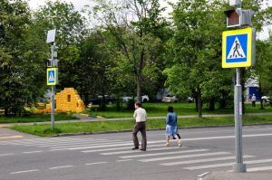 Горожан пригласили на пешеходную прогулку. Фото: Анна Быкова