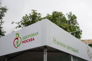 Занятия в рамках проекта «Здоровая Москва» посетили более 150 тыс раз. Фото: Анастасия Кирсанова