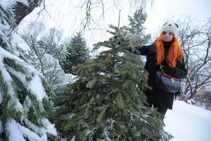 Пункты утилизации новогодних деревьев открылись в Москве. Фото: архив, «Вечерняя Москва»