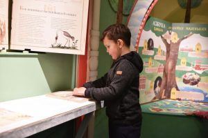 Выставка детского рисунка «Порадуем маму» состоится в благотворительном фонде «Поверь в мечту». Фото: Пелагия Замятина, «Вечерняя Москва»