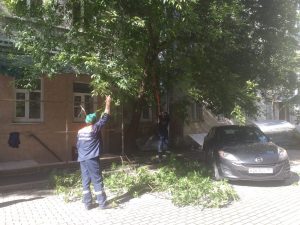  Сотрудники «Жилищника» привели в порядок зеленые насаждения в районе. Фото предоставили сотрудники ГБУ «Жилищник»