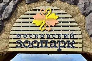 В Московском зоопарке рассказали, что было на праздничном столе у его питомцев. Фото: Анна Быкова