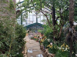 Обновленная экспозиция открылась в Ботаническом саду МГУ. Фото: Telegram-канал «Аптекарского огорода»