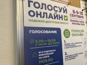 Тестовое голосование перед выборами пройдет в Москве 25 августа. Фото: Анастасия Герман, «Вечерняя Москва»
