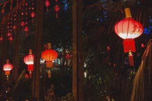 Китайский Новый год продлили в Ботаническом саду МГУ. Фото: Telegram-канал «Аптекарского огорода»