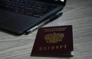 Москвичи на тестовом голосовании решат, нужен ли закон о безнадзорных животных. Фото: Анна Быкова, «Вечерняя Москва»