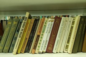 Литературный вечер состоится в РГБС. Фото: Алина Иржанова, «Вечерняя Москва»