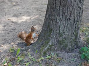 Екатерининский парк станет площадкой для проведения фестиваля. Фото: Анна Быкова, «Вечерняя Москва»