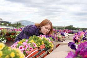 100-метровая аллея из цветов: Аптекарский огород приглашает жителей и гостей столицы полюбоваться цветущими гортензиями. Фото: архив, «Вечерняя Москва»