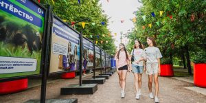Цветной бульвар встречает: стартовала добровольческая фотовыставка с котиком-волонтером Мишаней. Фото: пресс-служба Комитета общественных связей и молодежной политики города Москвы