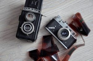 Семейная фотовыставка открылась в Екатерининском парке. Фото: Анна Быкова, «Вечерняя Москва»
