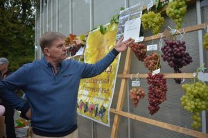 Фестиваль винограда состоится в «Аптекарском огороде». Фото: Архив, «Вечерняяя Москва»