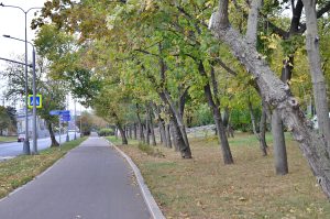  Глава управы Мещанского района провел совещание по вопросам ЖКХ. Фото: Анна Быкова, «Вечерняя Москва» 