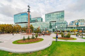 Новые деревья высадили на Трубной площади. Фото: пресс-служба комплекса городского хозяйства Москвы