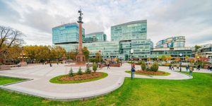 Новые деревья высадили на Трубной площади. Фото: пресс-служба комплекса городского хозяйства Москвы