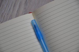 Как воспользоваться льготой, не учтенной в налоговом уведомлении. Фото: Анна Быкова, «Вечерняя Москва»