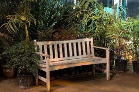 Экскурсии «Растения подскажут» организуют в «Аптекарском огороде». Фото: Telegram-канал в «Аптекарского огорода»