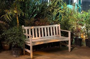 Экскурсии «Растения подскажут» организуют в «Аптекарском огороде». Фото: Telegram-канал в «Аптекарского огорода»