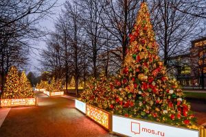 Цветной бульвар превратился в выставку городских проектов под новогодними шарами. Фото: сайт мэра Москвы