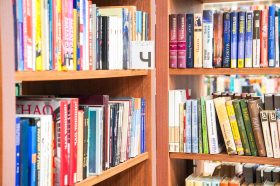 Книжно-иллюстративная выставка «Григорий Пономаренко» откроется в РГБС. Фото: Ксения Догонашева, «Вечерняя Москва»