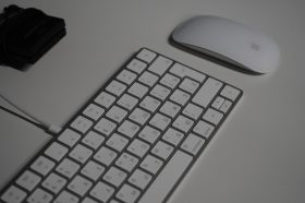 Онлайн-диалог с экспертом запустят на факультете «Дистанционное обучение» МГППУ. Фото: Анна Быкова, «Вечерняя Москва»