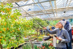 Представители сервиса Russpass организовали маршрут в «Аптекарский огород». Фото: сайт мэра Москвы 